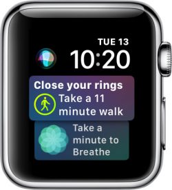 siriwatchfacewatchos4